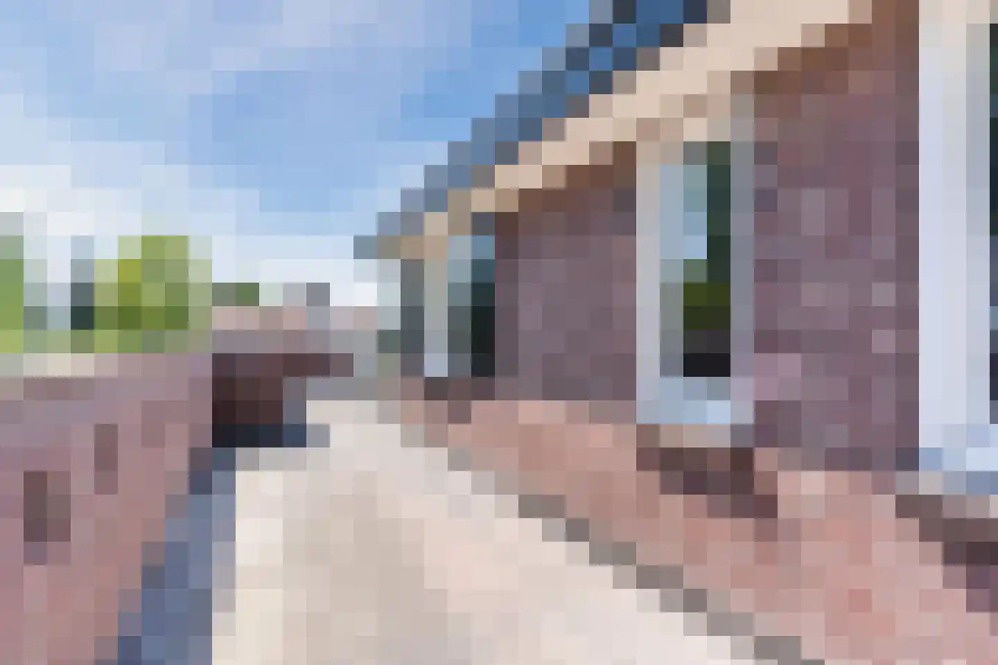 Dokter Rauppstraat 20 Bergeijk thumbnail 30