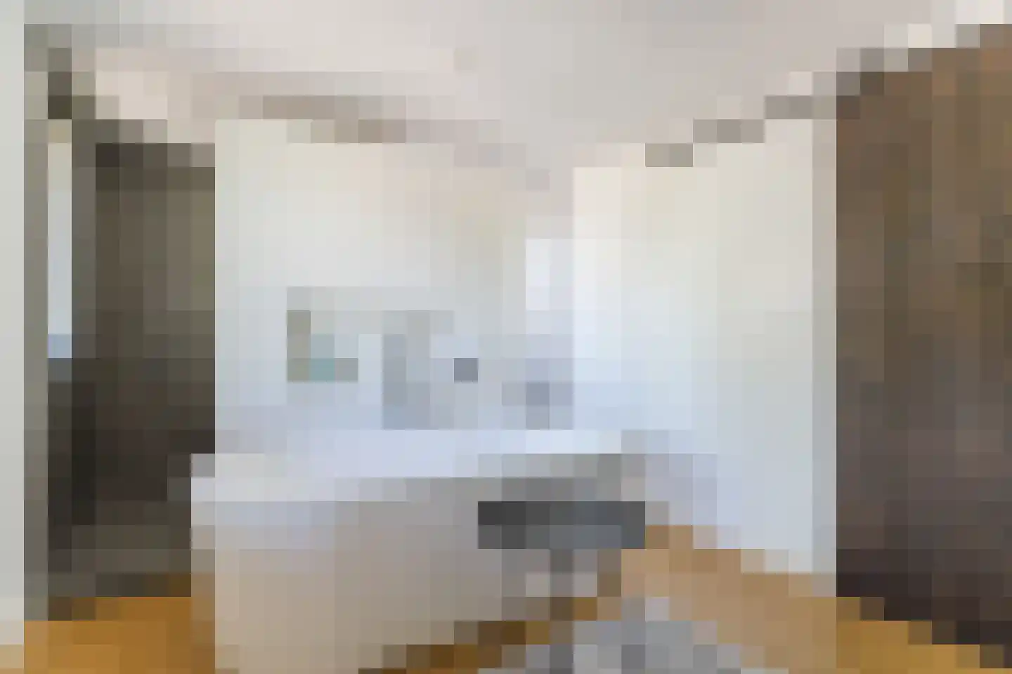 Dokter Rauppstraat 20 Bergeijk thumbnail 34