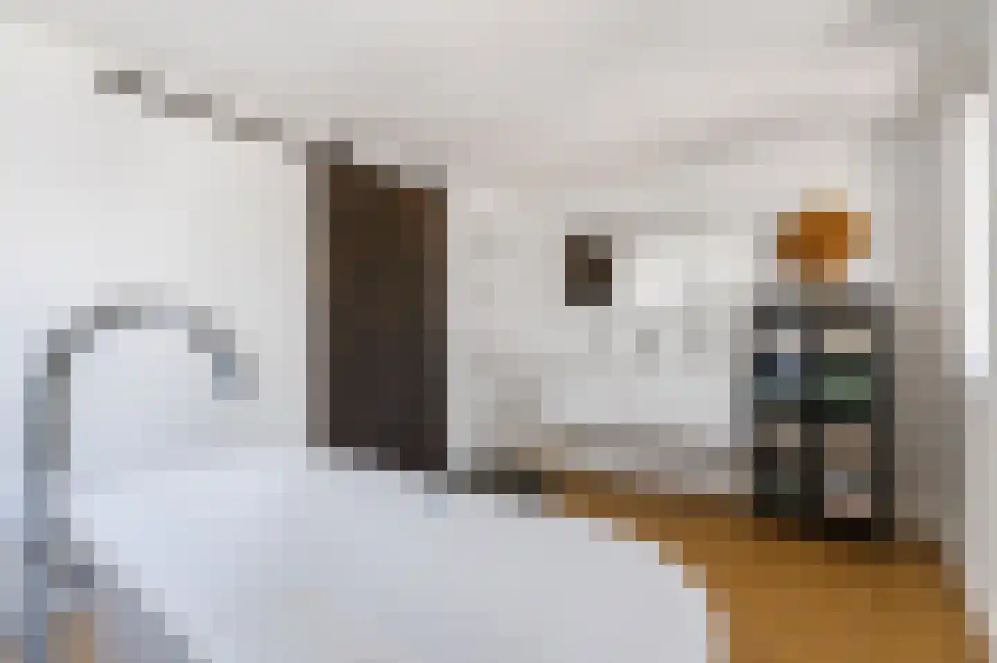 Dokter Rauppstraat 20 Bergeijk thumbnail 36