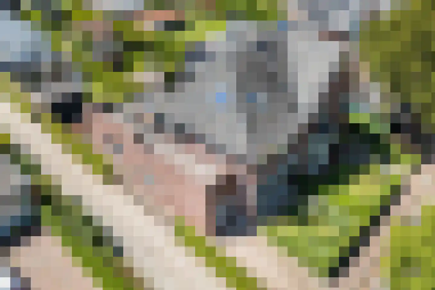 Dokter Rauppstraat 20 Bergeijk thumbnail 4