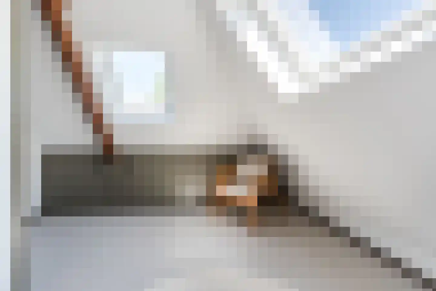 Dokter Rauppstraat 20 Bergeijk thumbnail 41