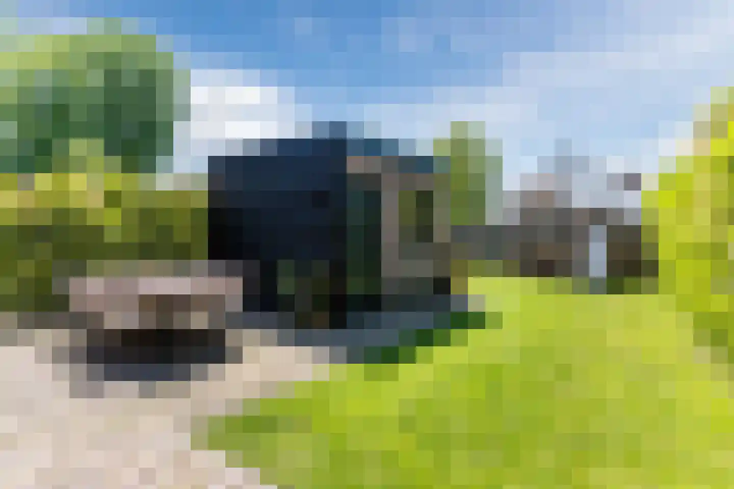 Dokter Rauppstraat 20 Bergeijk thumbnail 43