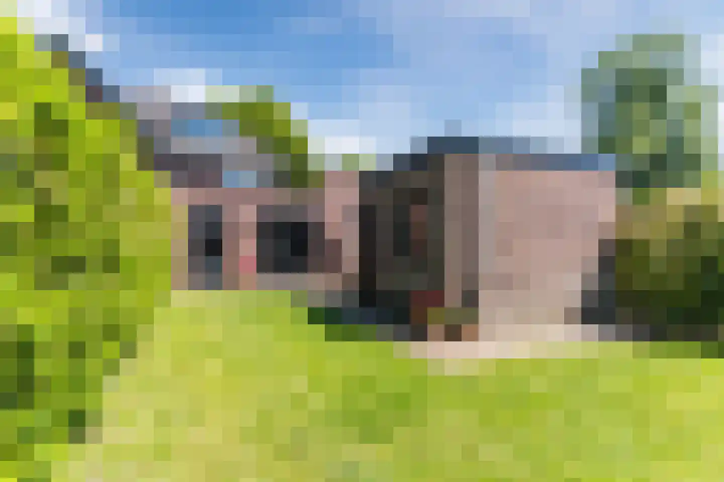 Dokter Rauppstraat 20 Bergeijk thumbnail 47