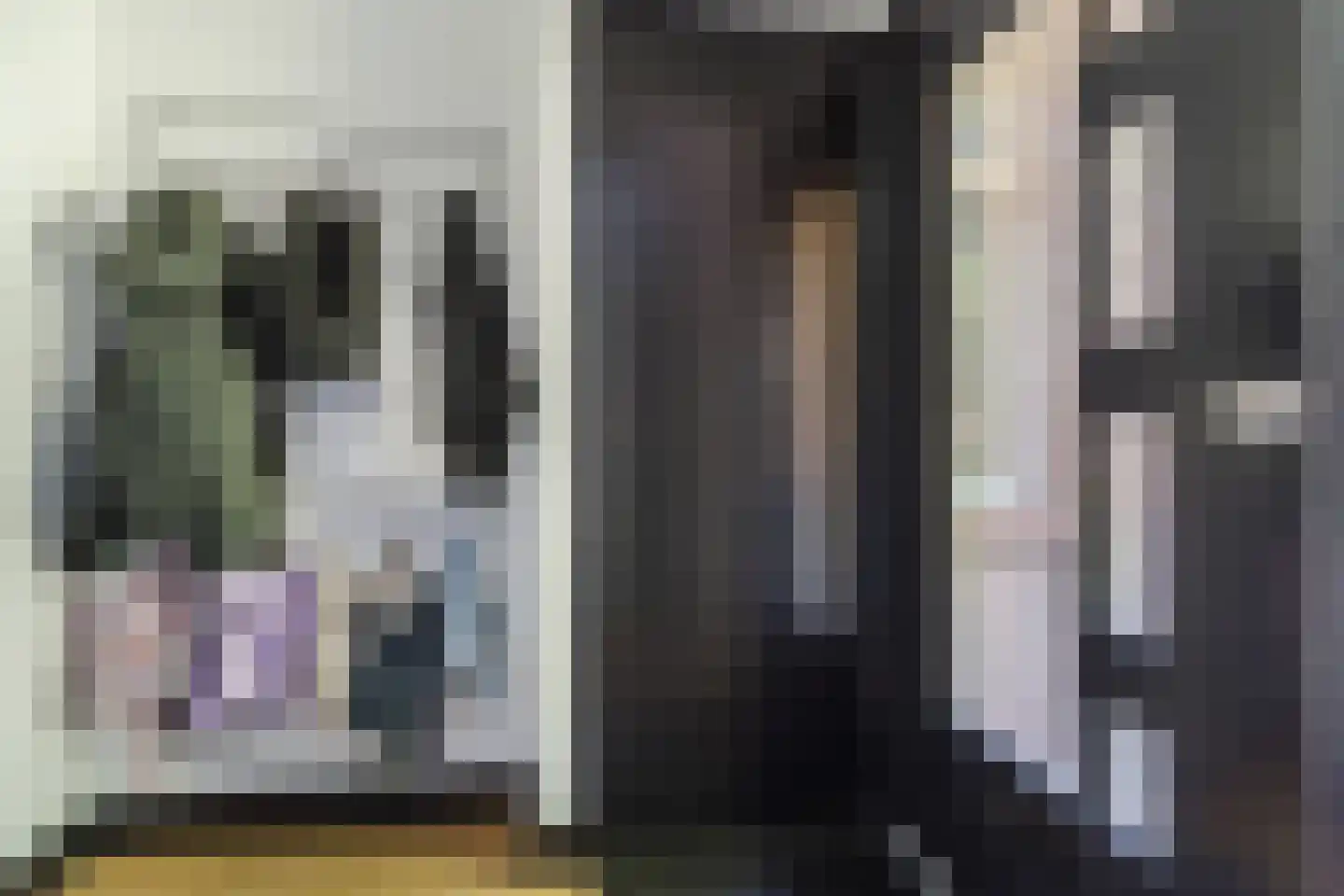 Dokter Rauppstraat 20 Bergeijk thumbnail 5