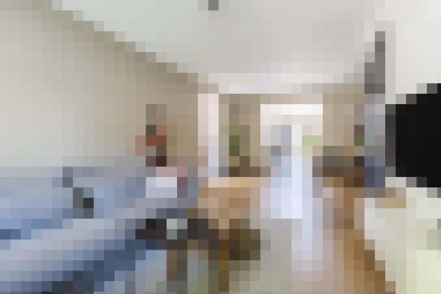Dokter Rauppstraat 20 Bergeijk thumbnail 6