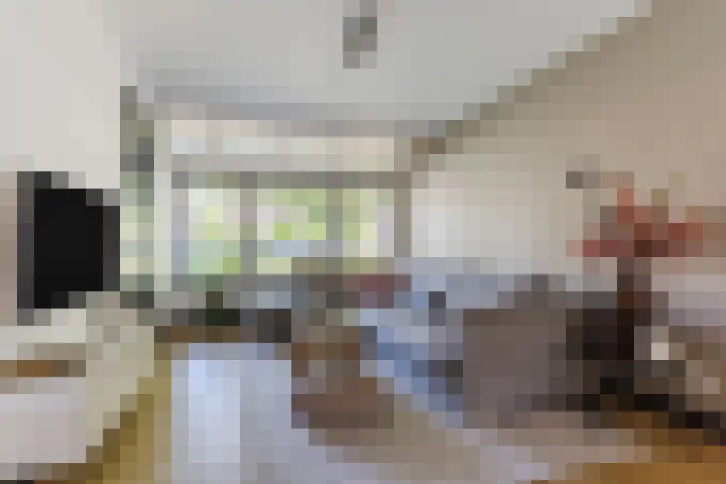 Dokter Rauppstraat 20 Bergeijk thumbnail 7
