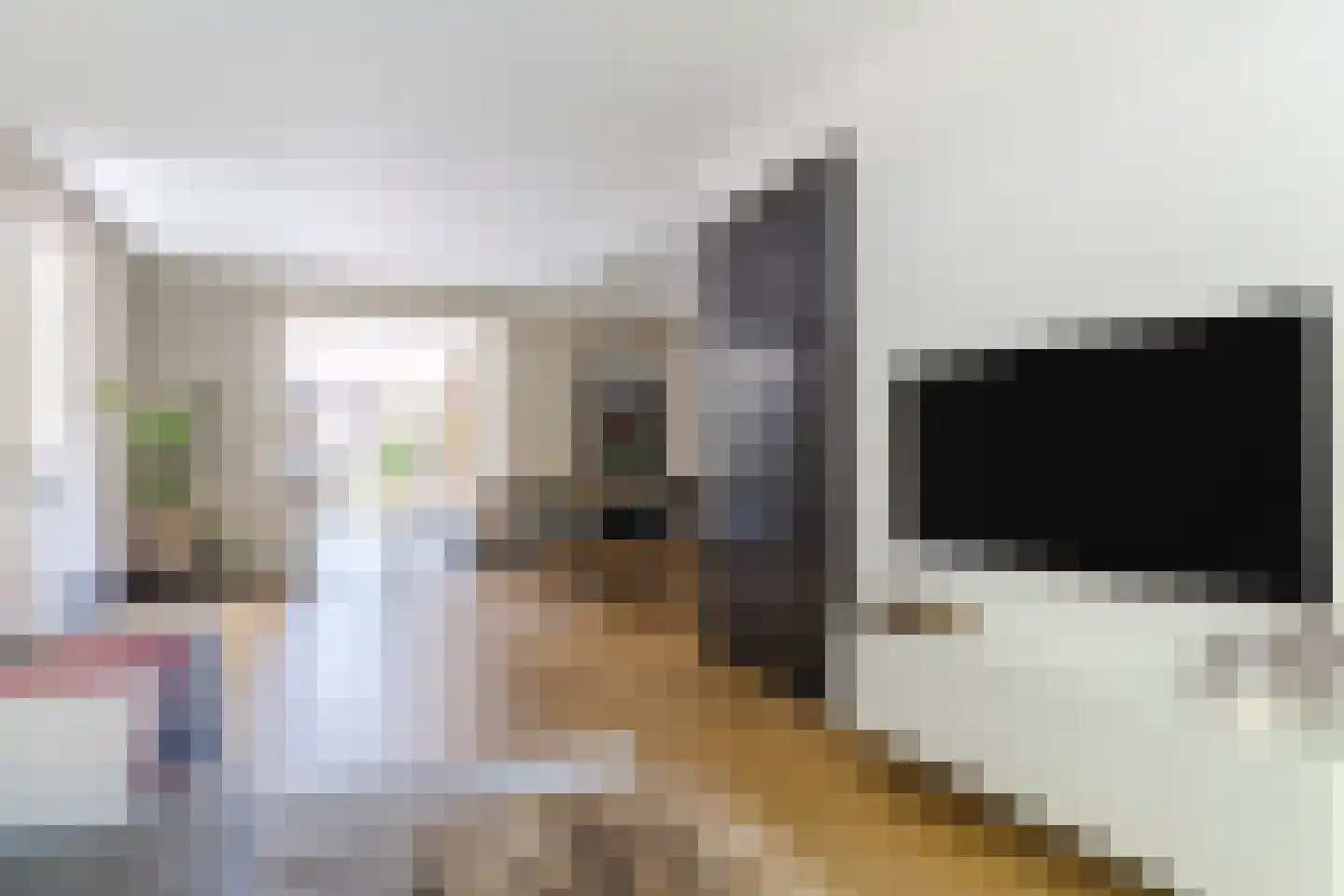 Dokter Rauppstraat 20 Bergeijk thumbnail 9