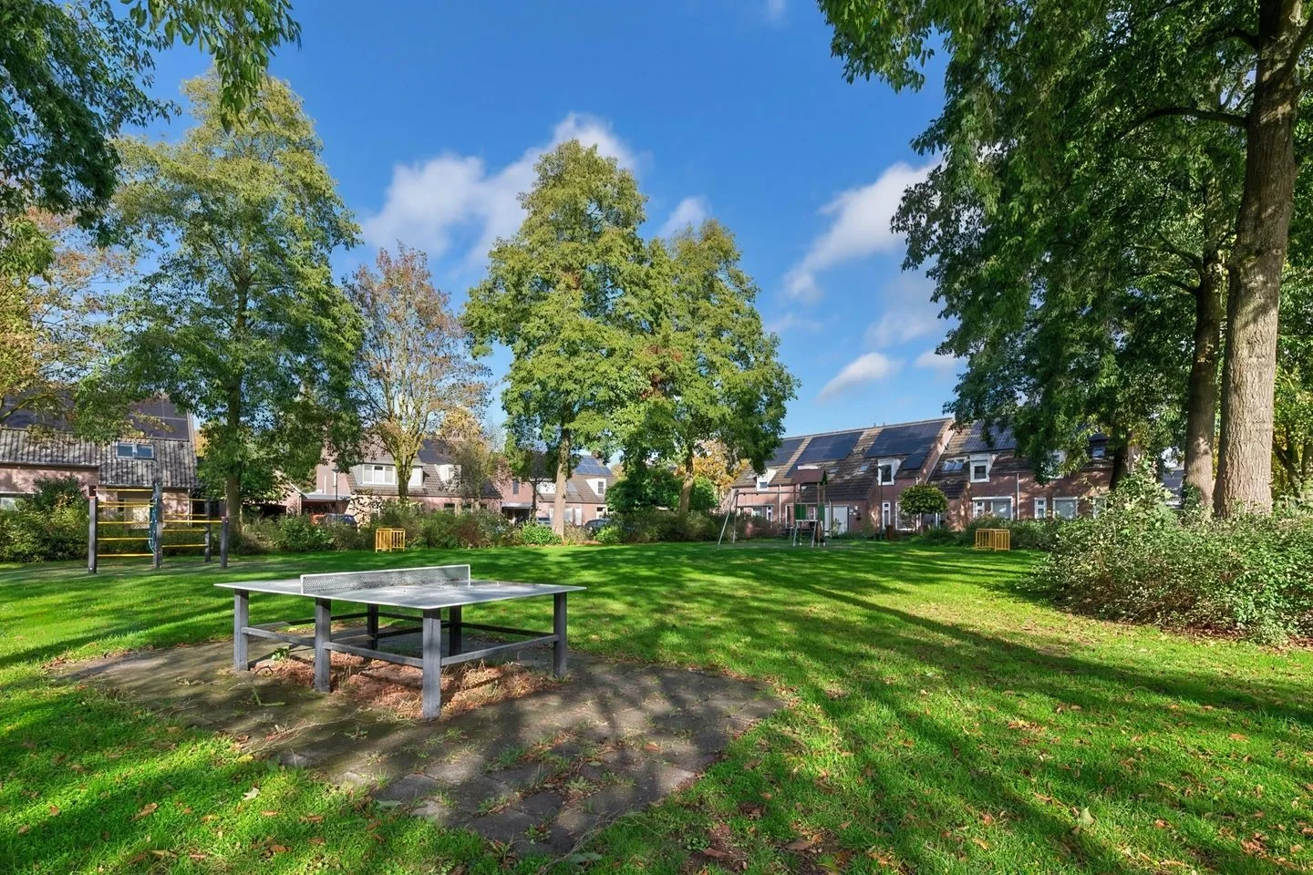 Dokter Rauppstraat 71 Bergeijk thumbnail 51