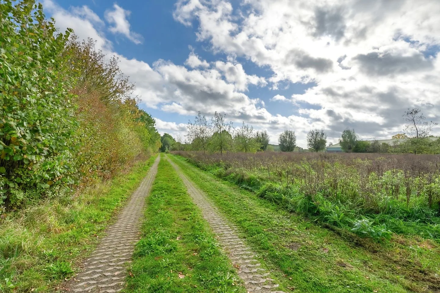 Dokter Rauppstraat 71 Bergeijk thumbnail 52