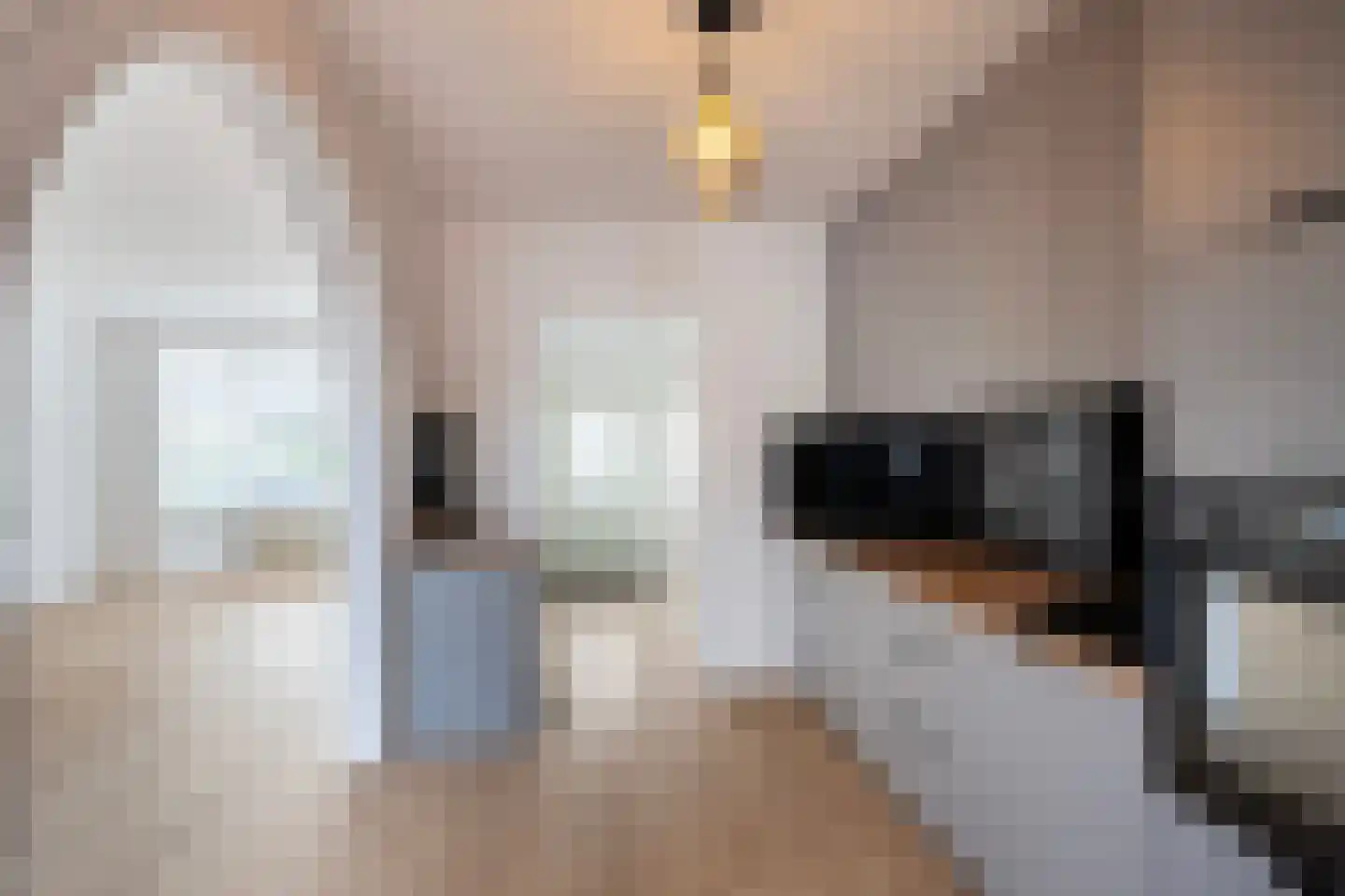 Dokter Renesstraat 34 Oud-Vossemeer thumbnail 14
