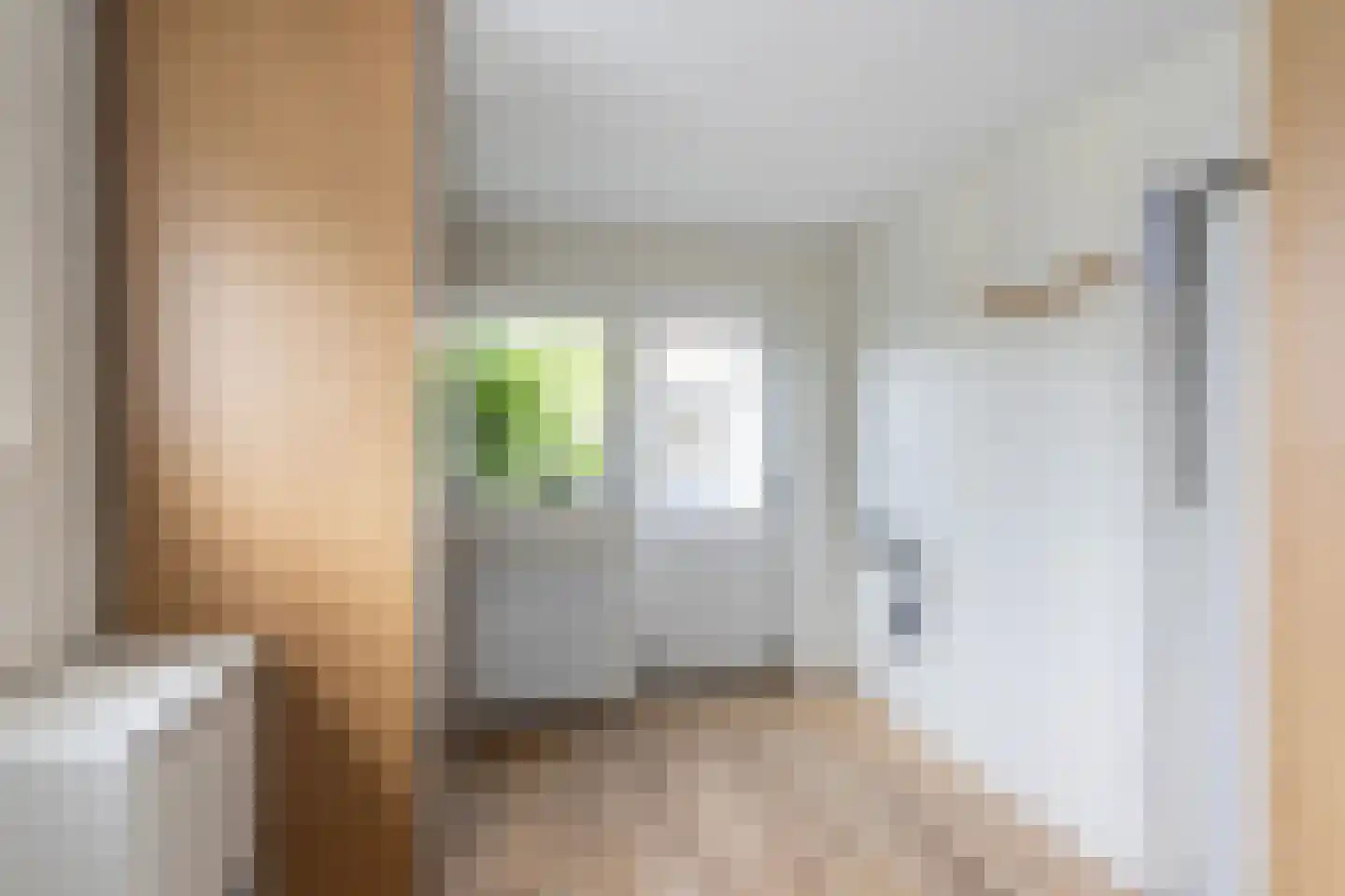 Dokter Renesstraat 34 Oud-Vossemeer thumbnail 18