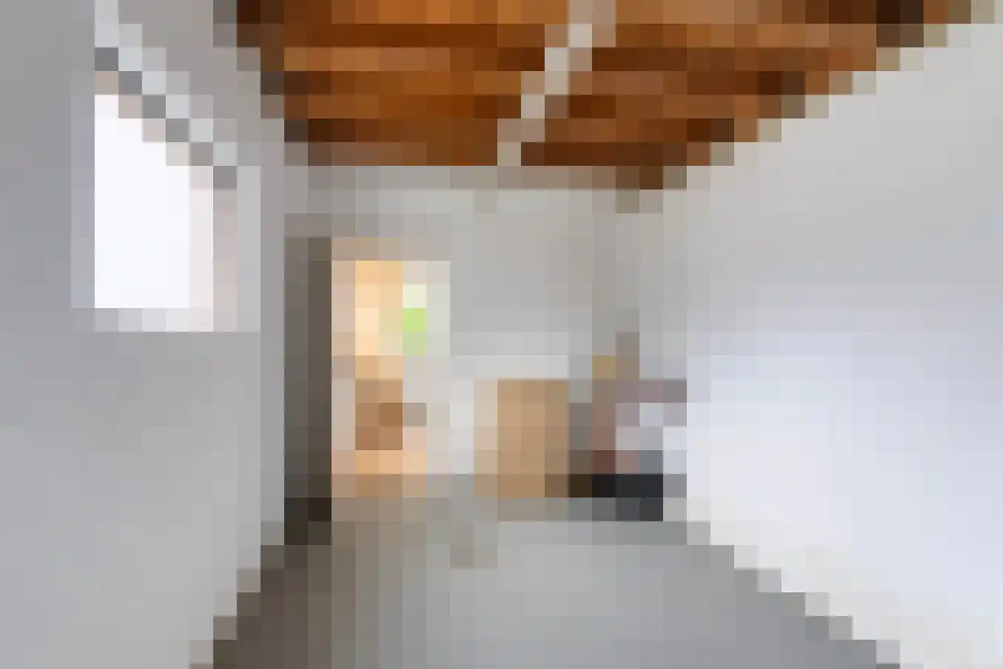 Dokter Renesstraat 34 Oud-Vossemeer thumbnail 20