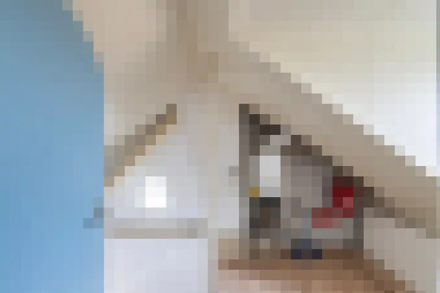 Dokter Renesstraat 34 Oud-Vossemeer thumbnail 32