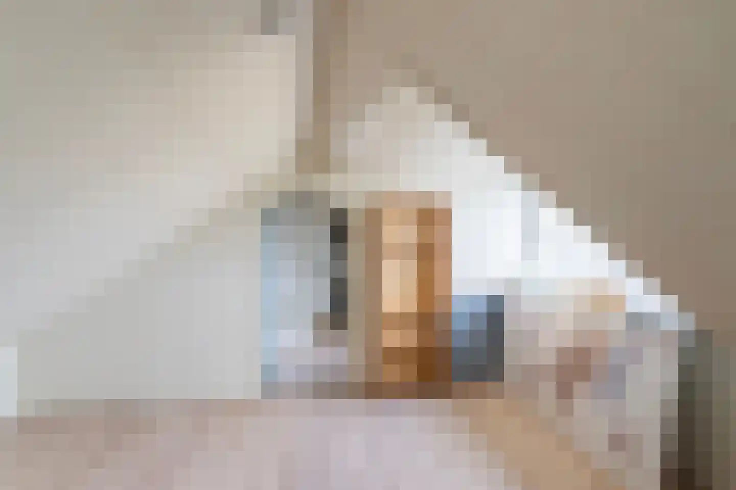 Dokter Renesstraat 34 Oud-Vossemeer thumbnail 35