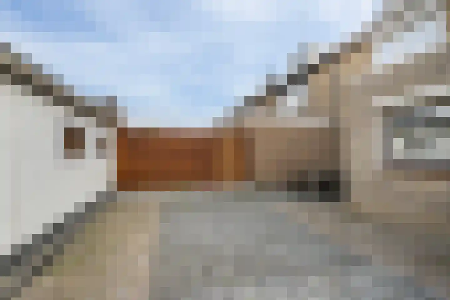 Dokter Renesstraat 34 Oud-Vossemeer thumbnail 38