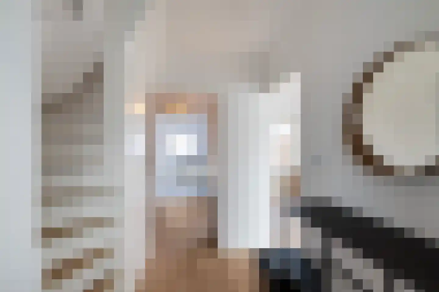 Dokter Renesstraat 34 Oud-Vossemeer thumbnail 8