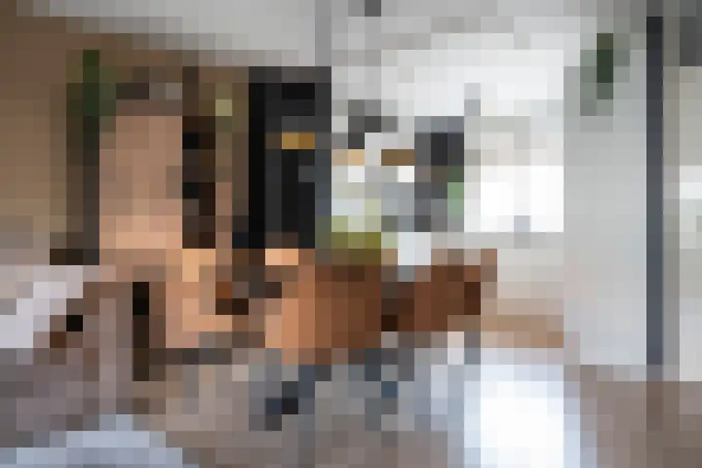 Dokter Rietveldplein 14 Papendrecht thumbnail 10