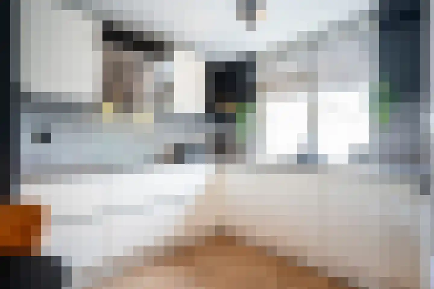 Dokter Rietveldplein 14 Papendrecht thumbnail 11