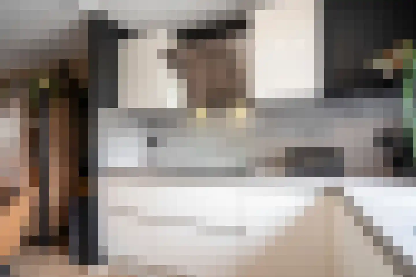 Dokter Rietveldplein 14 Papendrecht thumbnail 12