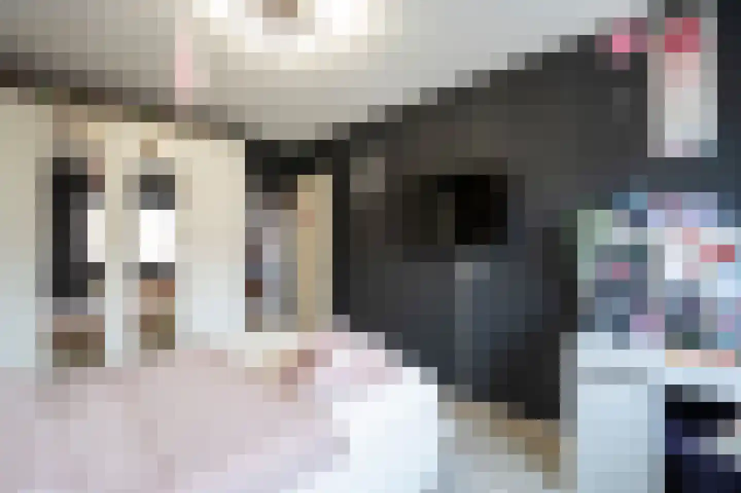 Dokter Rietveldplein 14 Papendrecht thumbnail 17