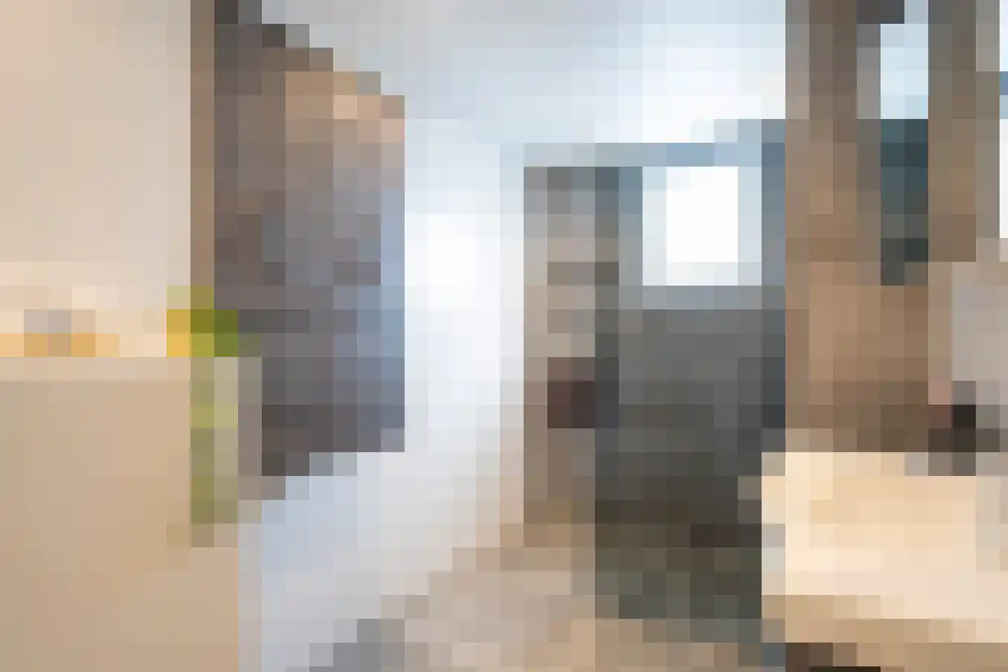 Dokter Rietveldplein 14 Papendrecht thumbnail 22
