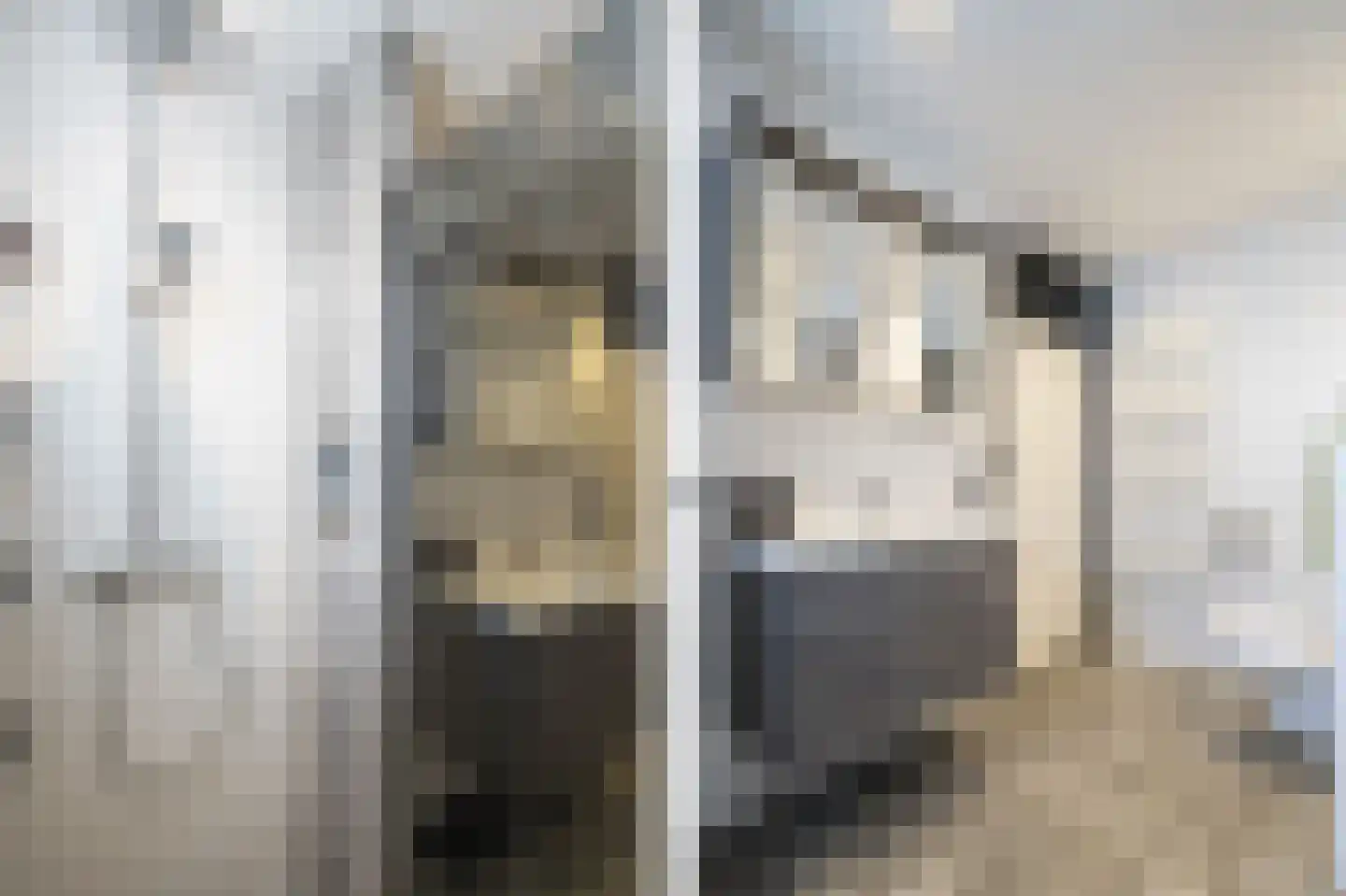 Dokter Rietveldplein 14 Papendrecht thumbnail 23