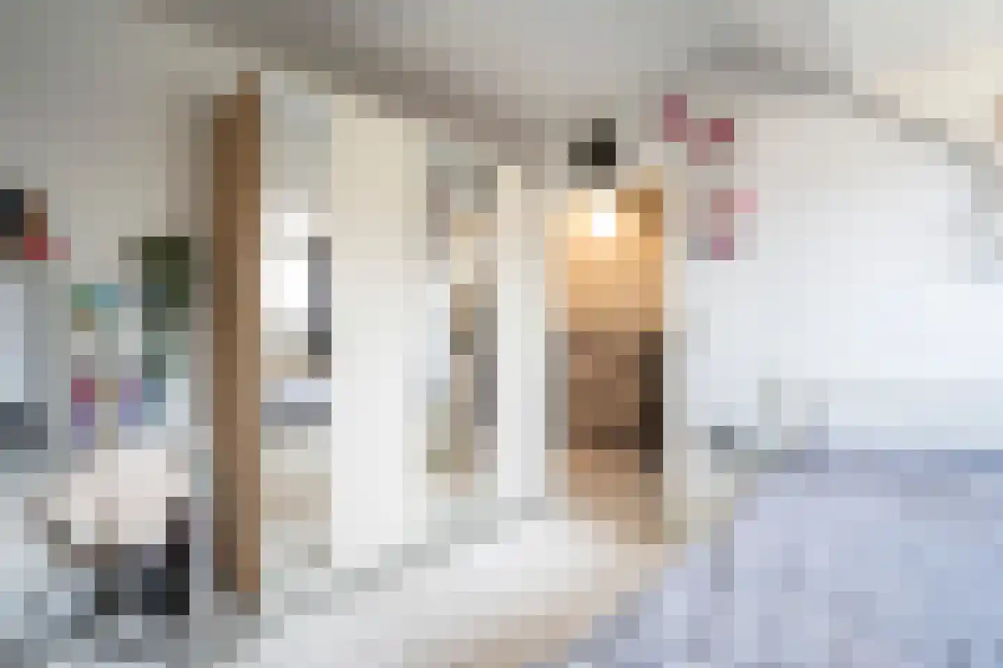 Dokter Rietveldplein 14 Papendrecht thumbnail 27