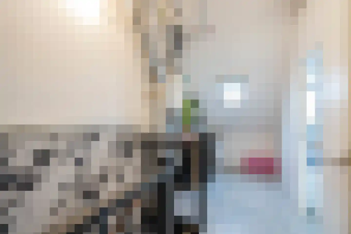 Dokter Rietveldplein 14 Papendrecht thumbnail 28
