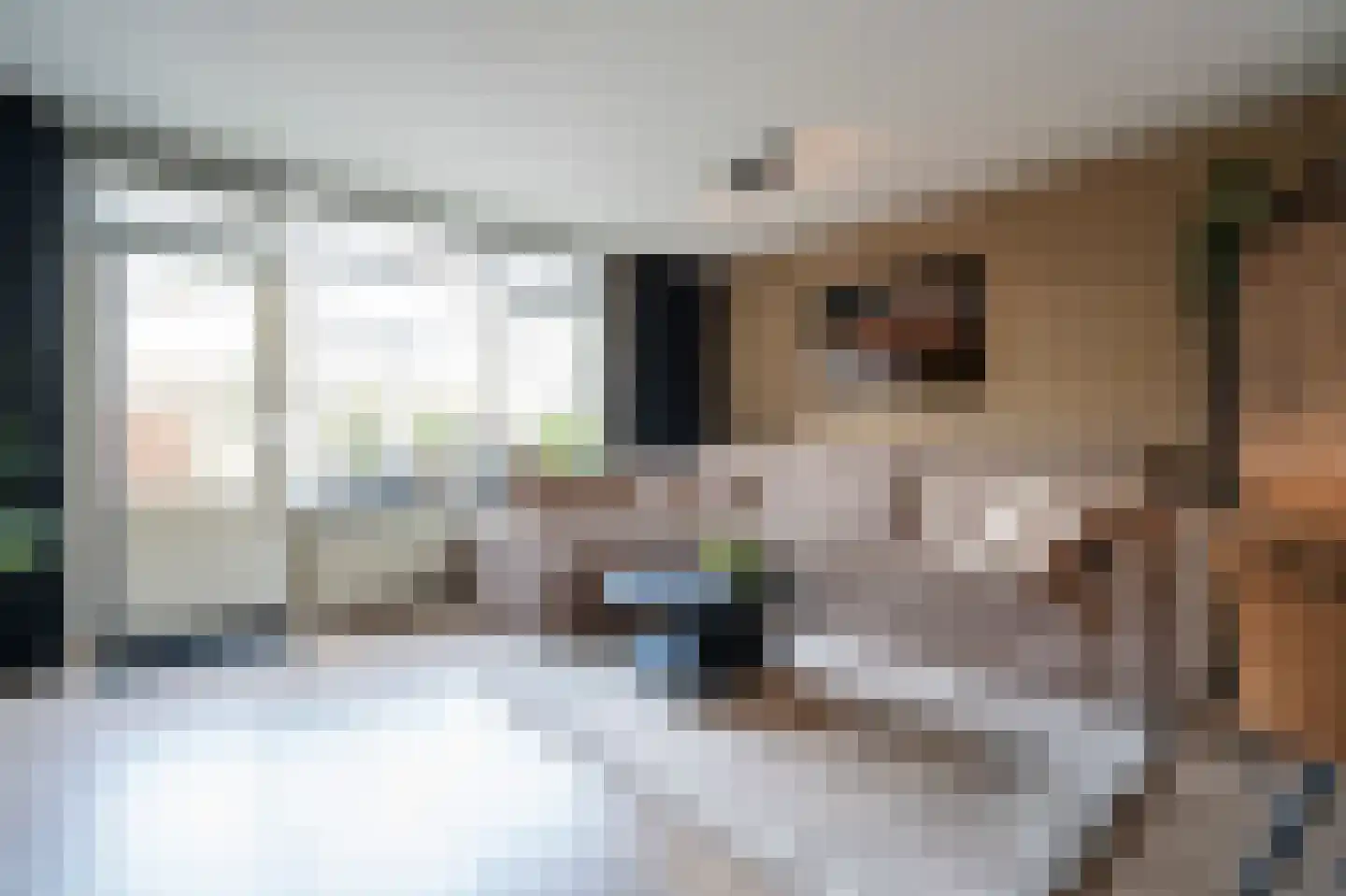 Dokter Rietveldplein 14 Papendrecht thumbnail 8