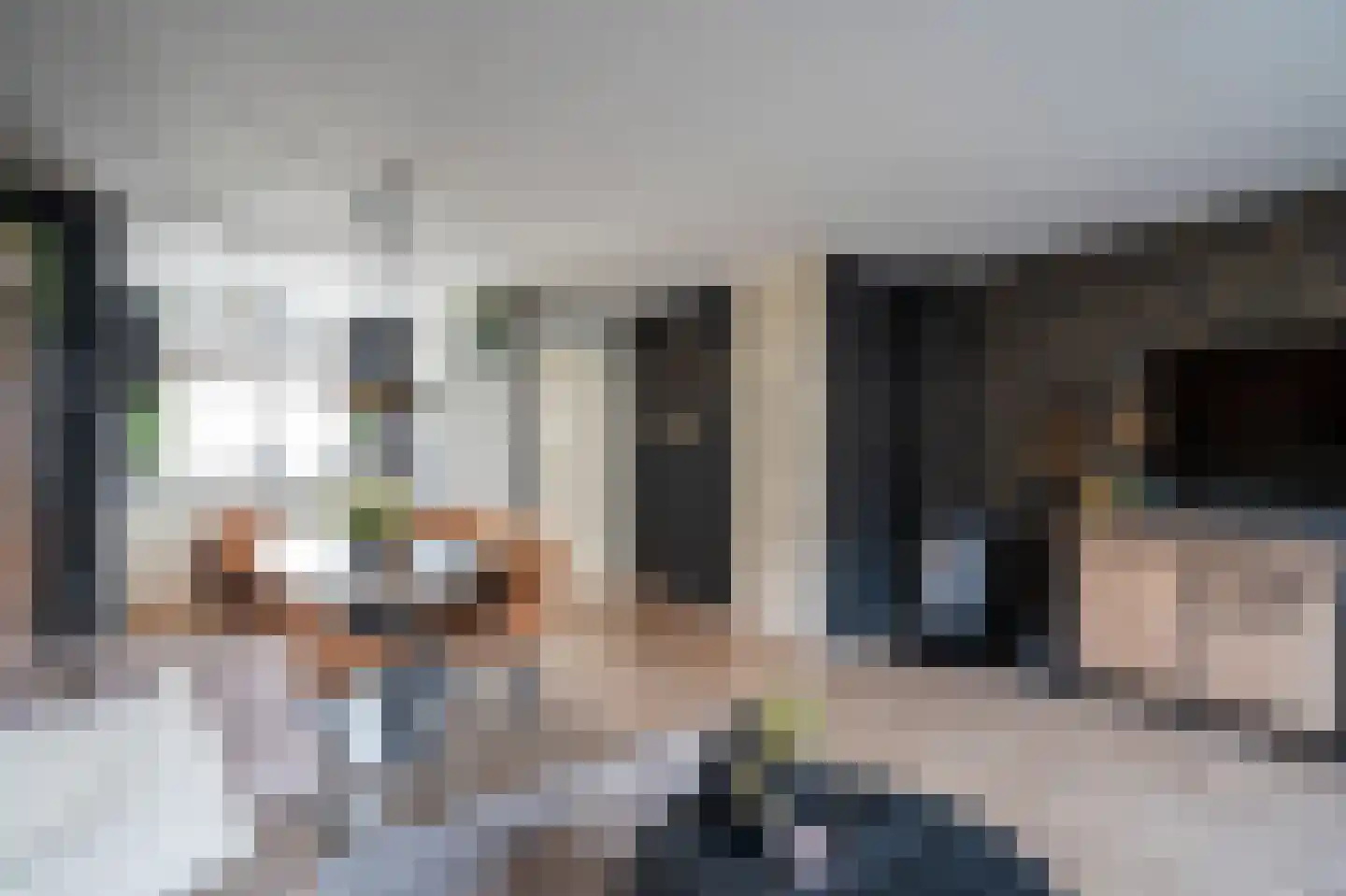 Dokter Rietveldplein 14 Papendrecht thumbnail 9