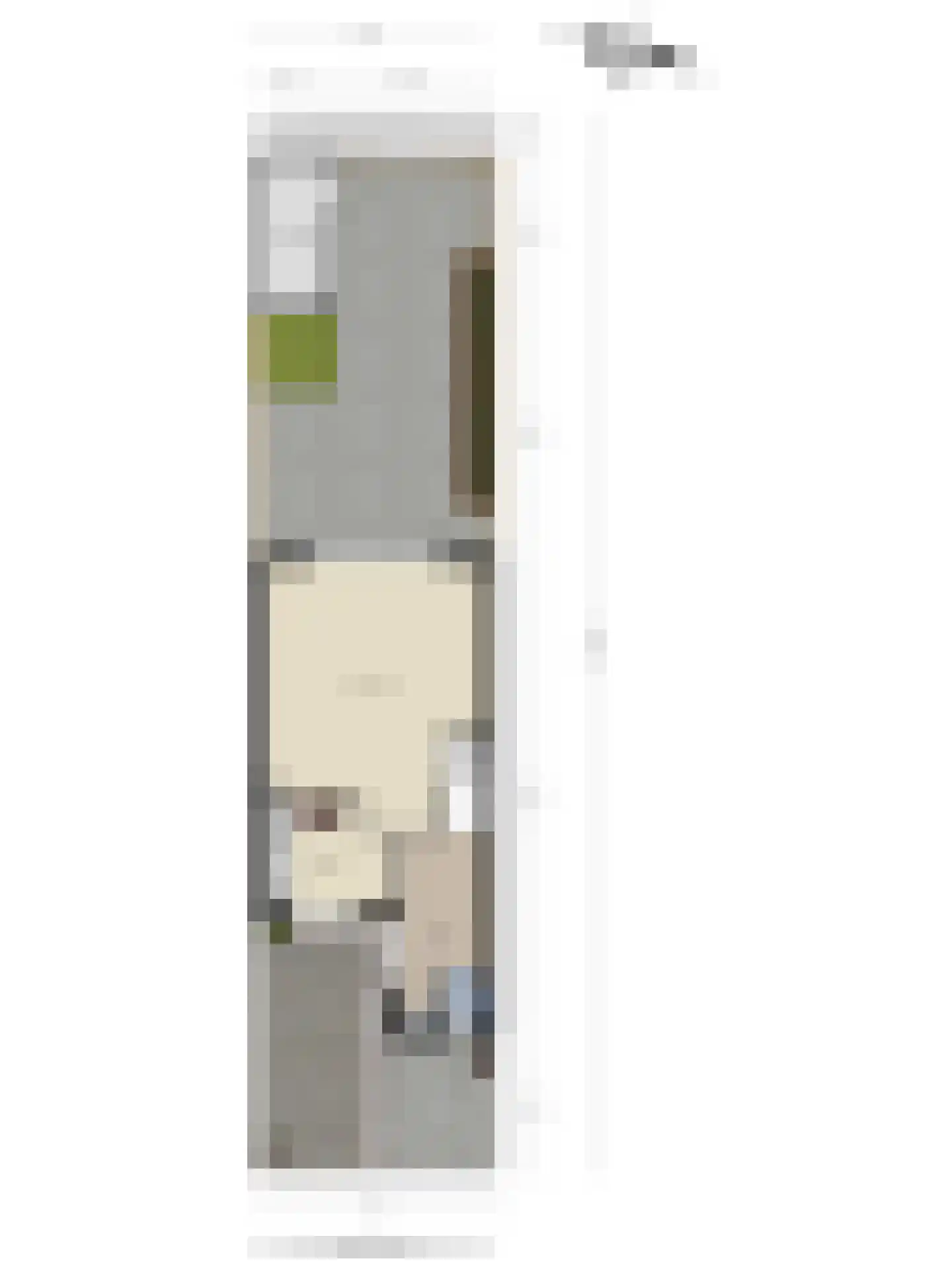 Dokter Rietveldplein 4 Papendrecht thumbnail 33