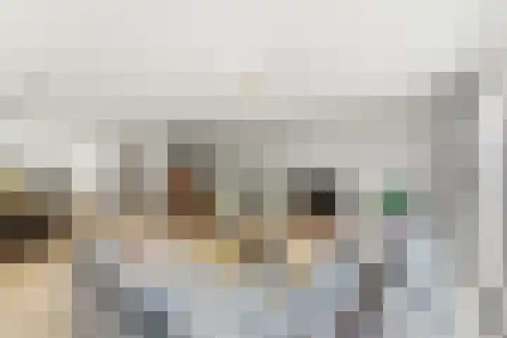 Dokter Rietveldplein 51 Papendrecht thumbnail 12