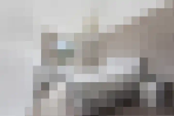 Dokter Rietveldplein 51 Papendrecht thumbnail 21