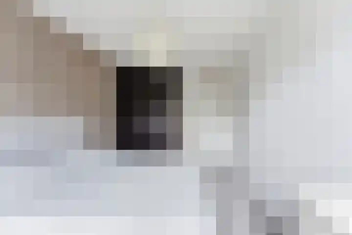 Dokter Rietveldplein 51 Papendrecht thumbnail 22