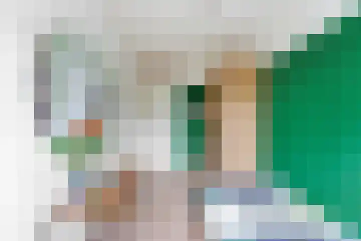 Dokter Rietveldplein 51 Papendrecht thumbnail 24
