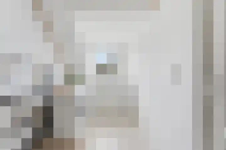 Dokter Rietveldplein 51 Papendrecht thumbnail 31