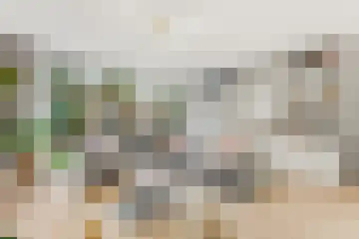 Dokter Rietveldplein 51 Papendrecht thumbnail 4