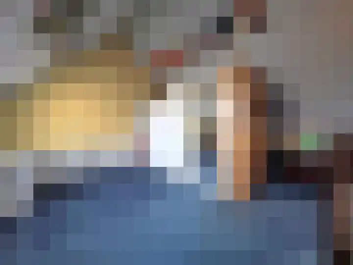 Dokter Rietveldplein 6 Papendrecht thumbnail 34