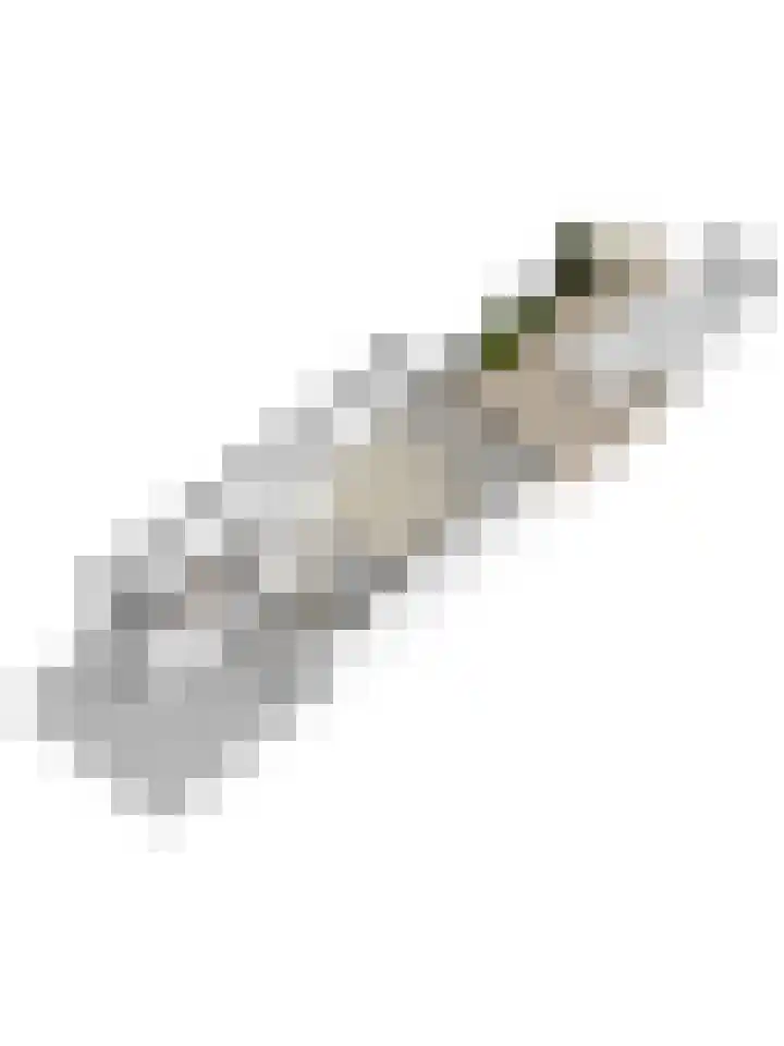 Dokter Rietveldplein 6 Papendrecht thumbnail 40