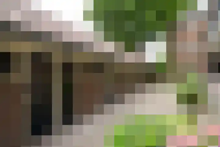 Dokter Rupertlaan 20 Soest thumbnail 13