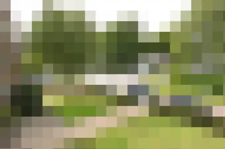 Dokter Rupertlaan 20 Soest thumbnail 14