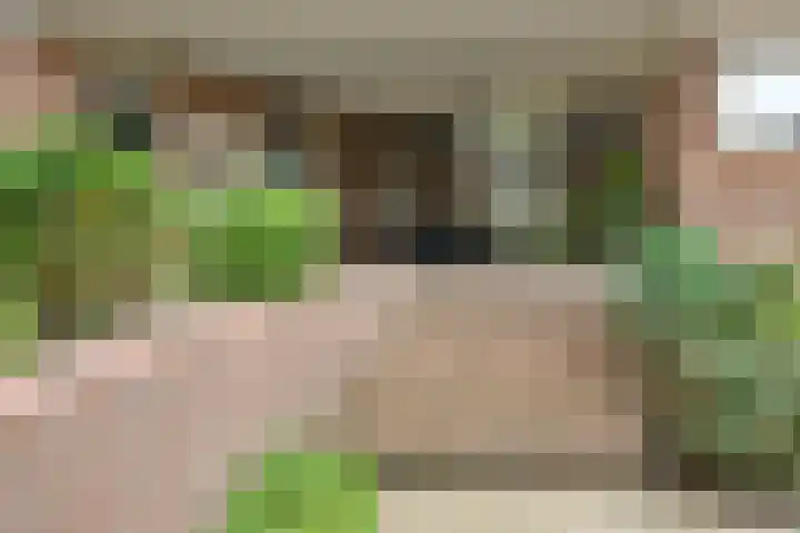 Dokter Rupertlaan 20 Soest thumbnail 16