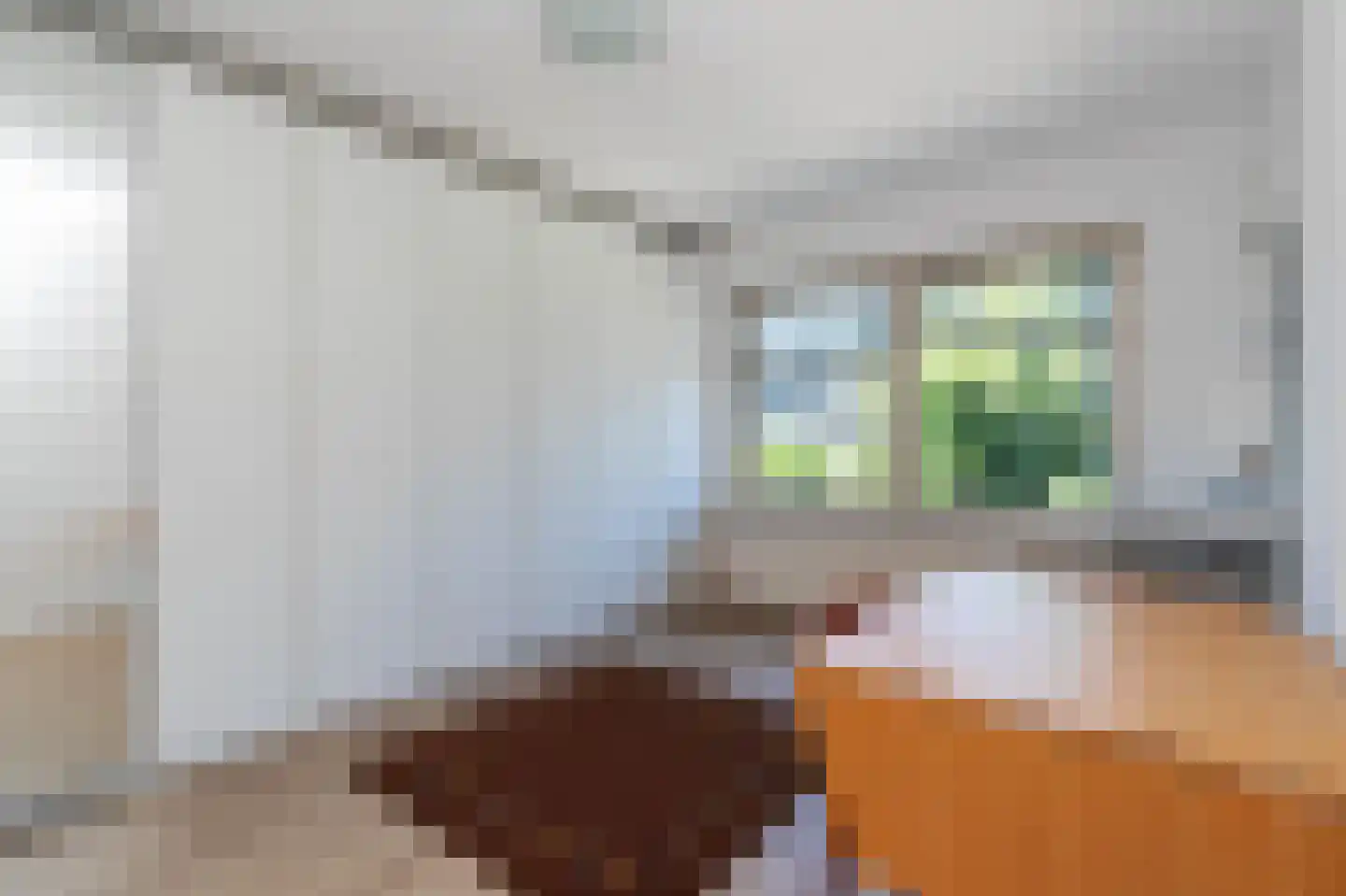 Dokter Rupertlaan 57 Soest thumbnail 22