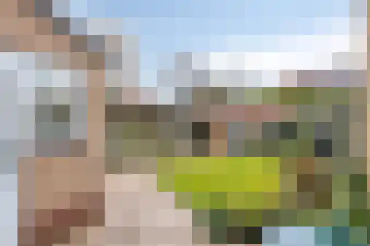 Dokter Rupertlaan 78 Soest thumbnail 33