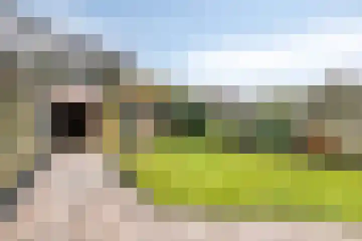 Dokter Rupertlaan 78 Soest thumbnail 34
