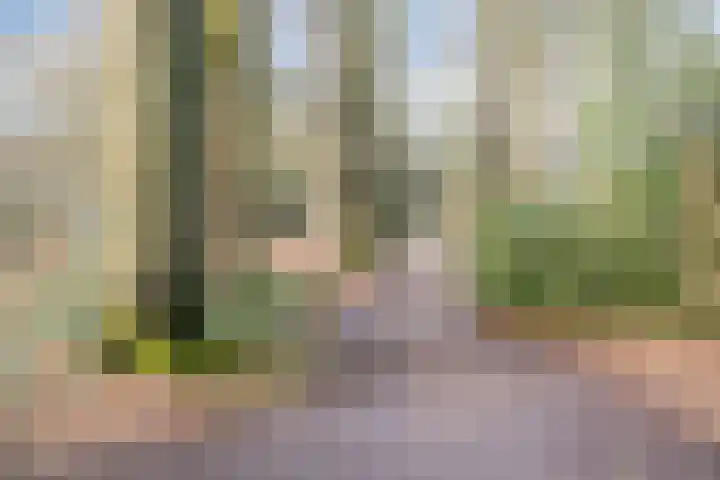 Dokter Rupertlaan 78 Soest thumbnail 39