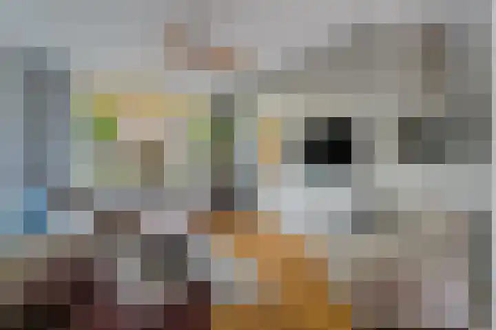 Dokter Rutgers van der Loeffstraat 11 Oostzaan thumbnail 10