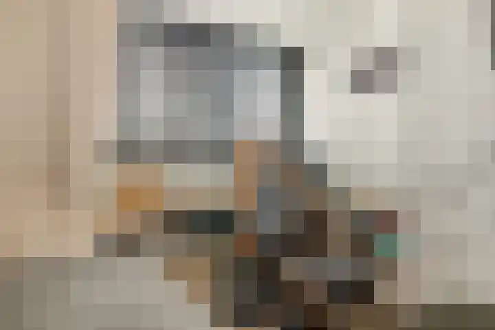 Dokter Rutgers van der Loeffstraat 15 Oostzaan thumbnail 27