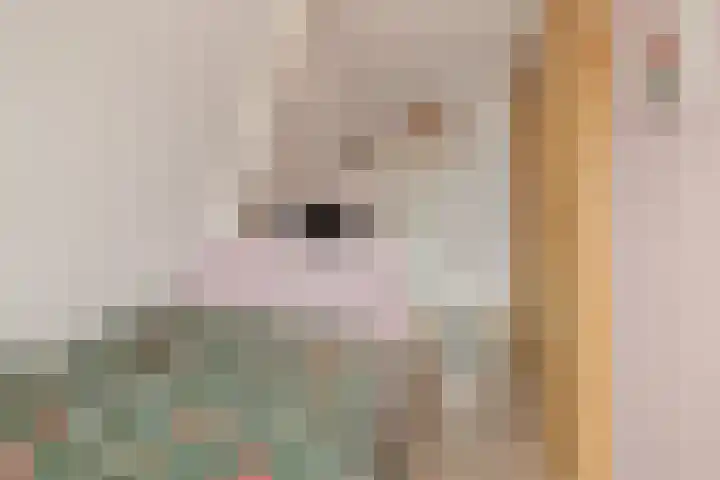 Dokter Rutgers van der Loeffstraat 15 Oostzaan thumbnail 31