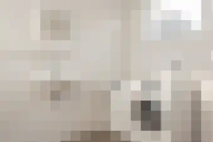 Dokter Rutgers van der Loeffstraat 8 Oostzaan thumbnail 16